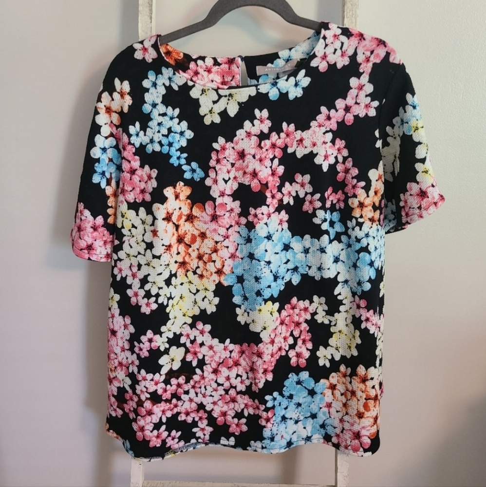 Anthology top womens US size 22 floral short sleeve plus size